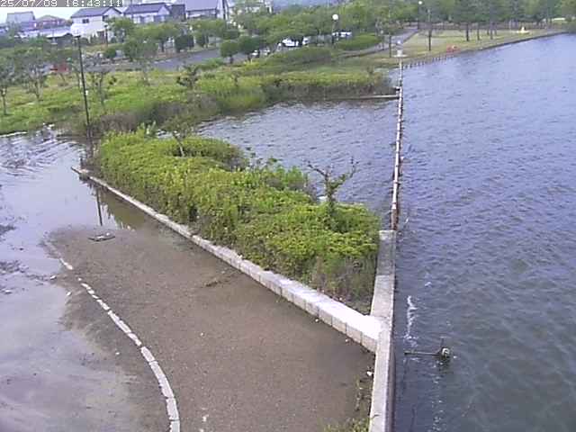 取得できませんでした