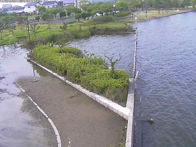 取得できませんでした