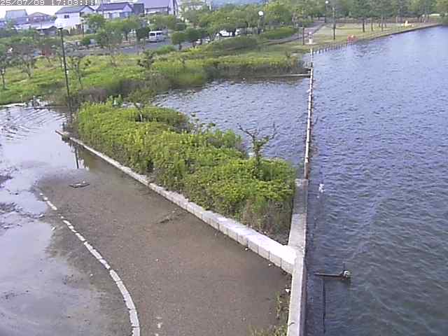 取得できませんでした
