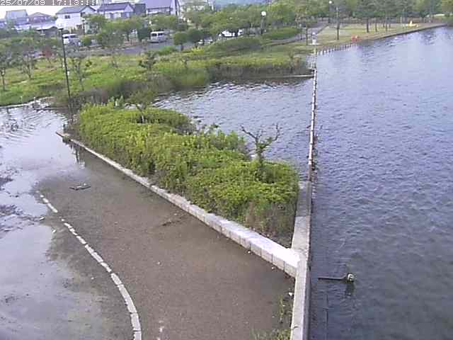 取得できませんでした