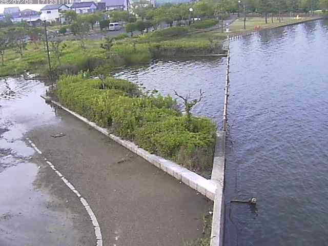 取得できませんでした