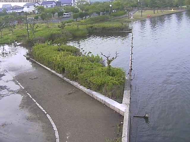 取得できませんでした