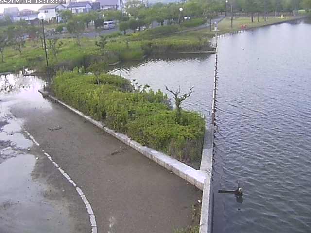 取得できませんでした