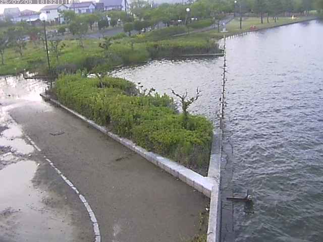 取得できませんでした