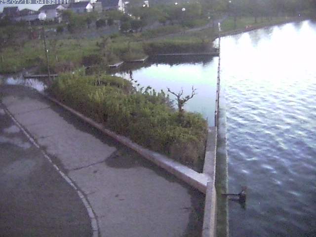 取得できませんでした