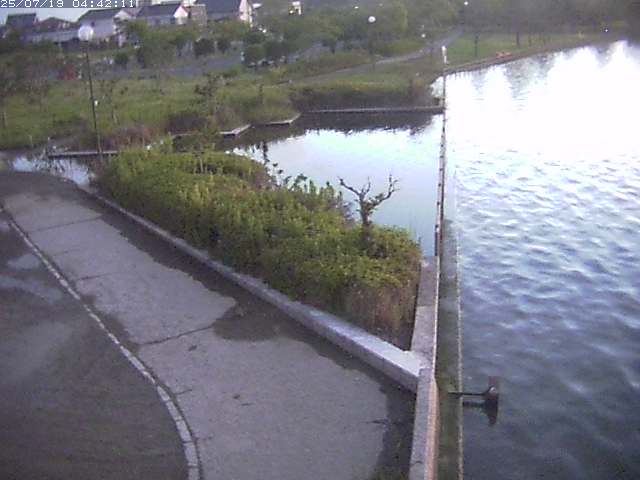 取得できませんでした