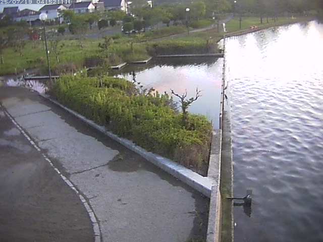 取得できませんでした