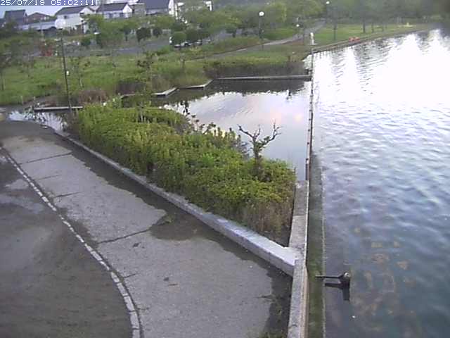 取得できませんでした