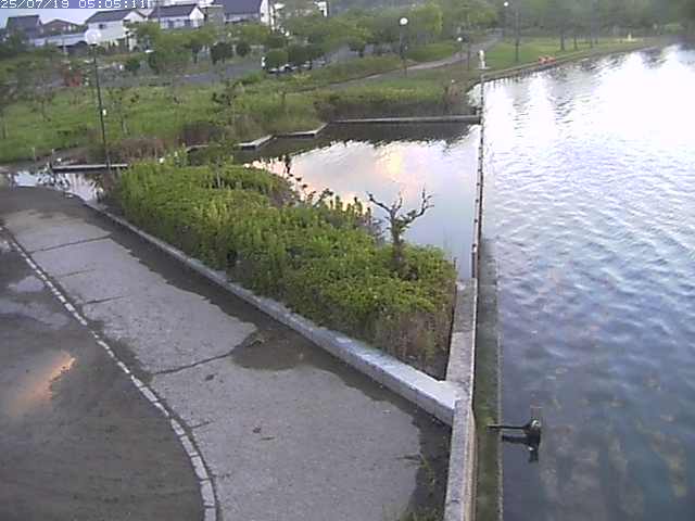 取得できませんでした