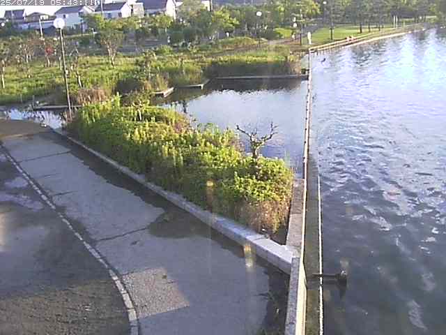 取得できませんでした