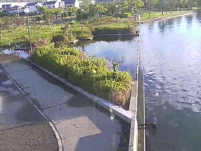 取得できませんでした