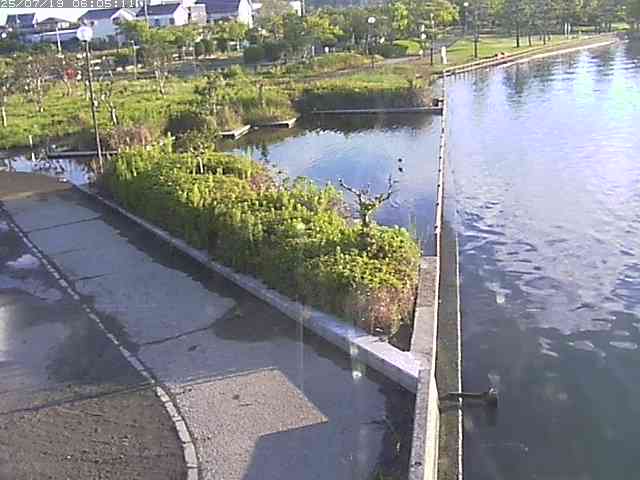 取得できませんでした
