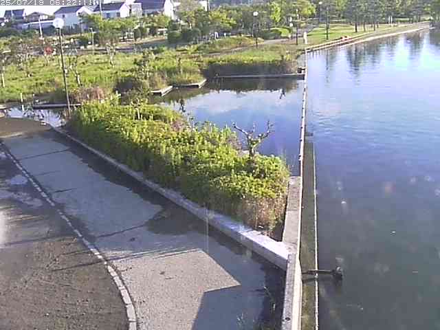 取得できませんでした