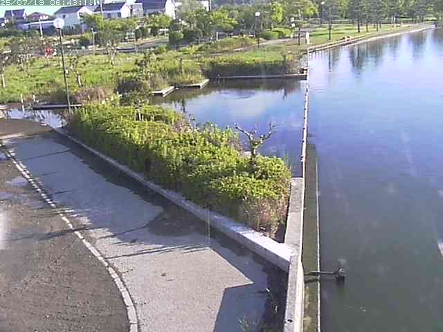 取得できませんでした