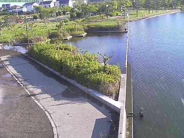 取得できませんでした