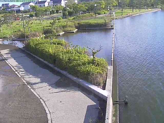 取得できませんでした