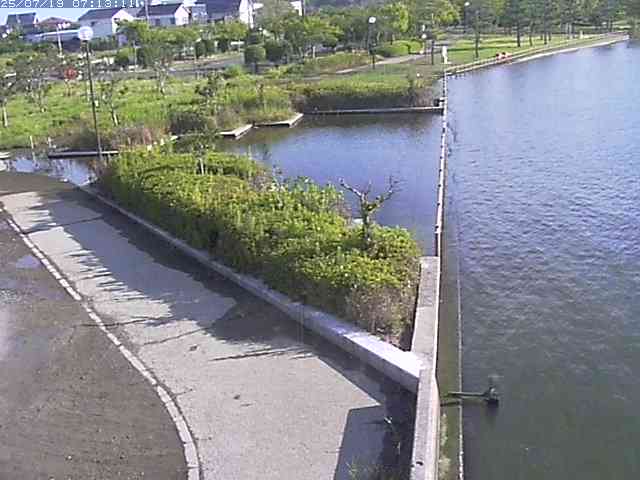 取得できませんでした