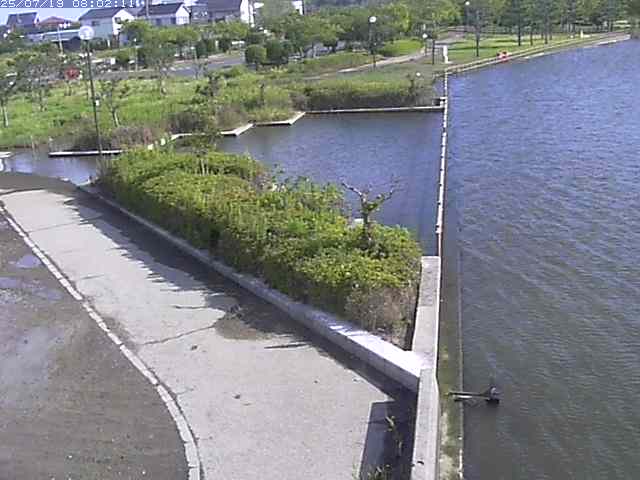 取得できませんでした