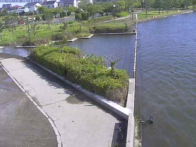 取得できませんでした
