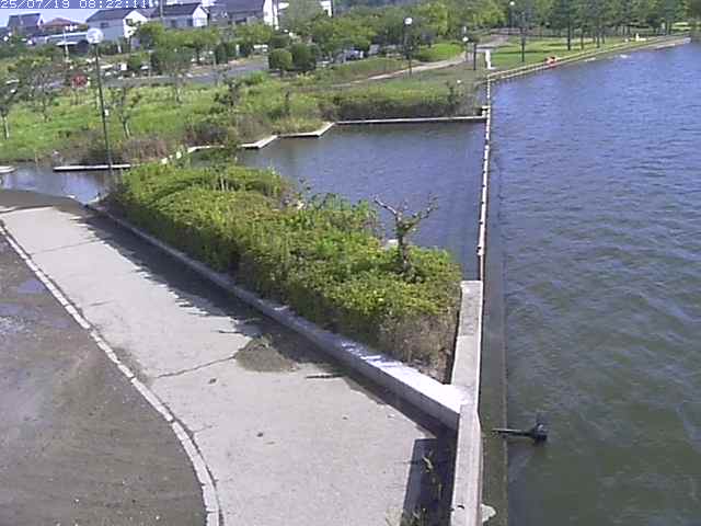 取得できませんでした