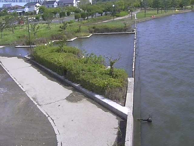 取得できませんでした