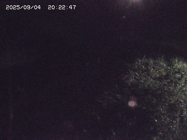 取得できませんでした
