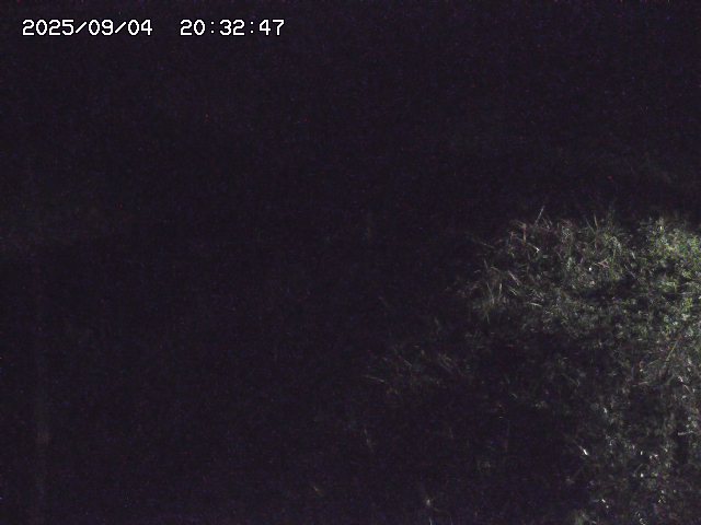 取得できませんでした
