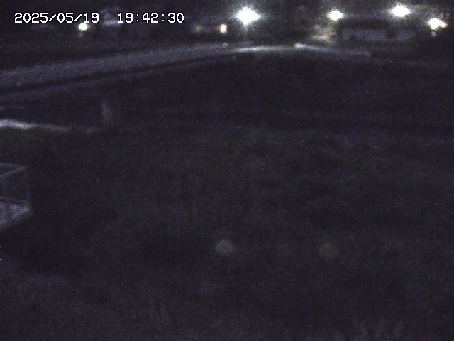 取得できませんでした