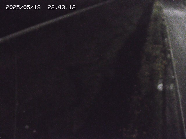 取得できませんでした