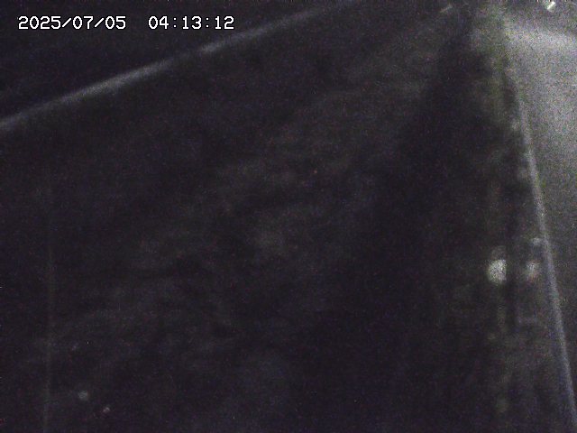 取得できませんでした