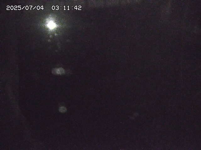 取得できませんでした