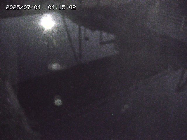 取得できませんでした