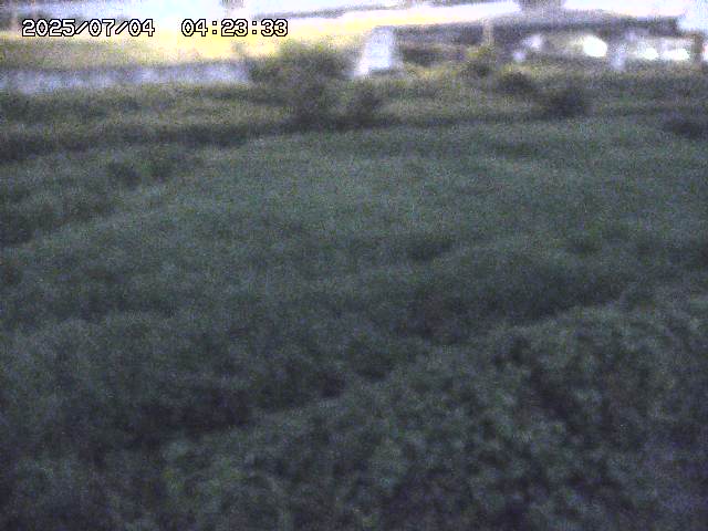 取得できませんでした