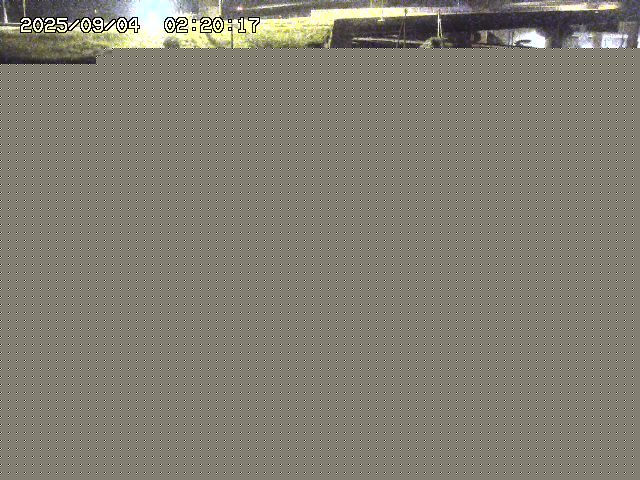 取得できませんでした