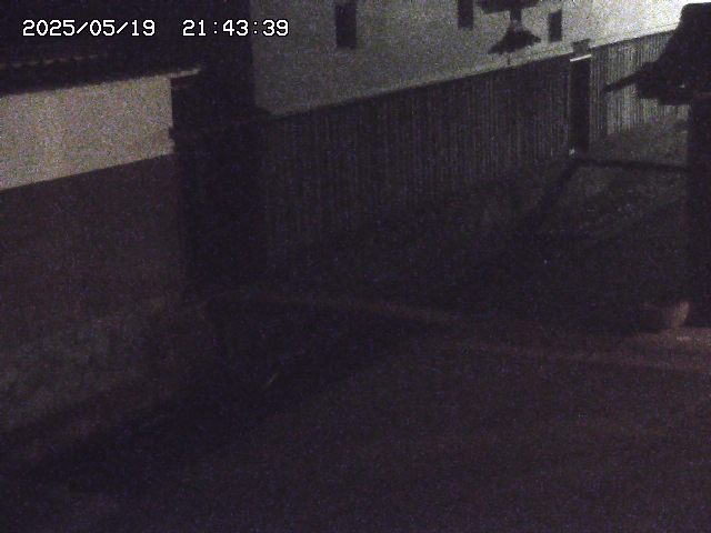 取得できませんでした
