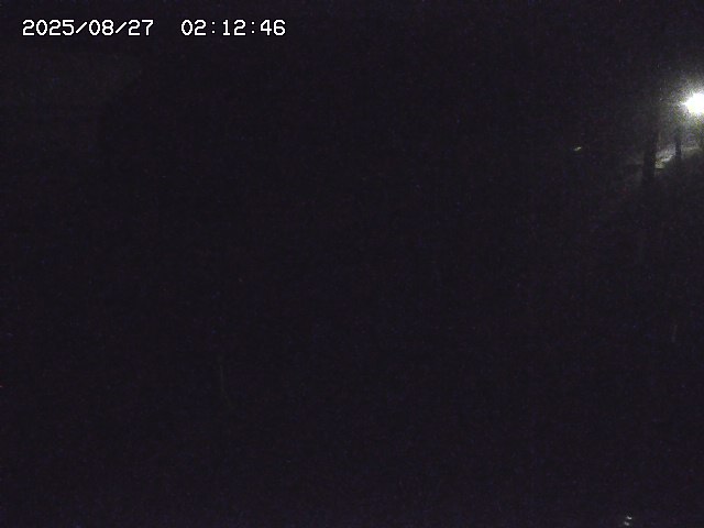取得できませんでした