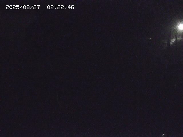 取得できませんでした
