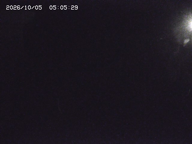 取得できませんでした