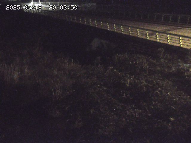 取得できませんでした