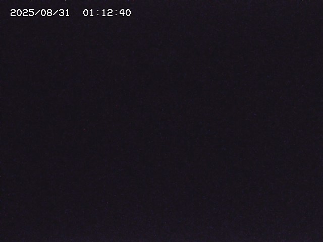 取得できませんでした