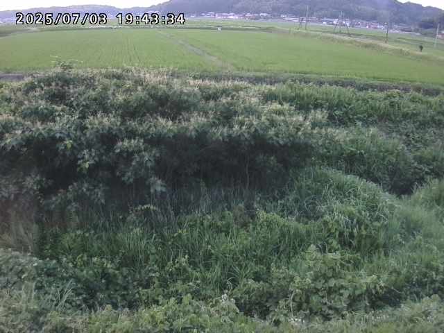 取得できませんでした