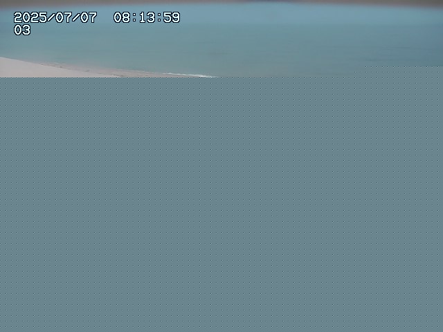 取得できませんでした