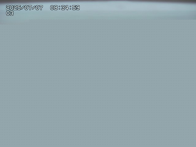 取得できませんでした