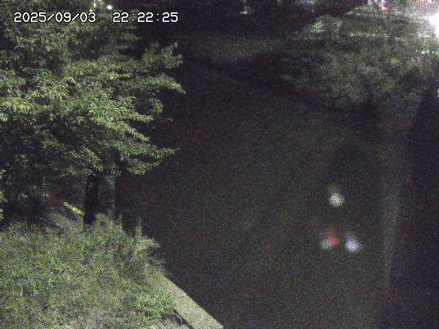 取得できませんでした