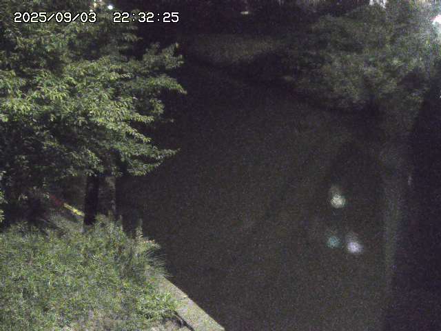 取得できませんでした