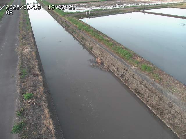 取得できませんでした