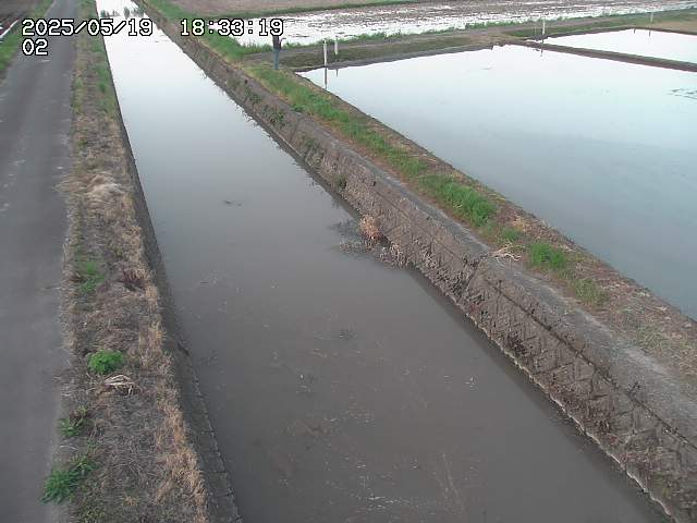 取得できませんでした