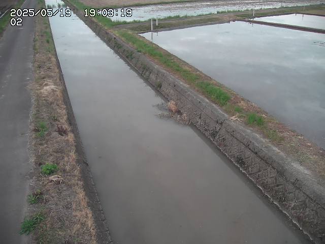 取得できませんでした