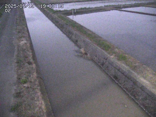 取得できませんでした