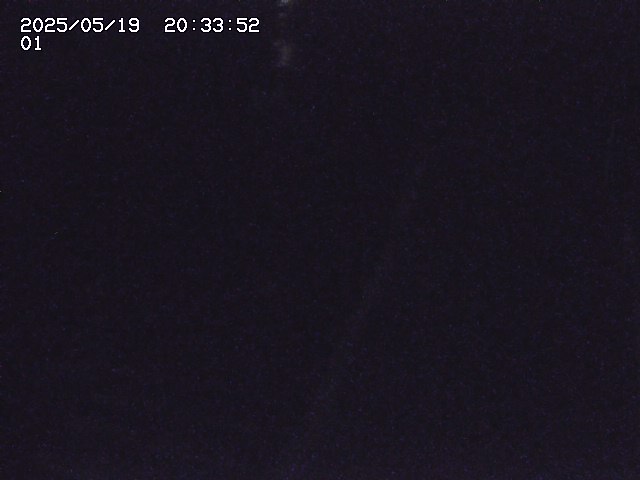 取得できませんでした